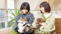 全学科・専攻でトリミング・しつけ・健康管理を学べる！わんこのプロフェッショナルを育成！（北海道どうぶつ・医療 専門学校）