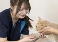 2026年4月入学者 AOエントリー受付開始!!（中央動物看護専門学校）