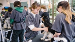 業界を代表する4つの団体が公認する専門学校（群馬動物専門学校）