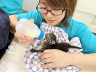 スクールアニマルが教えてくれること（九州動物学院）