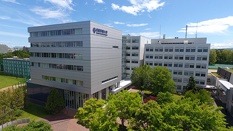 北星学園大学 2026年4月開設 国際学部グローバル・イノベーション学科(仮称・設置構想中)
