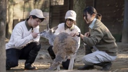 職業教育連携「群馬サファリパーク」と新たに加わるフィールド「桐生が岡動物園」で実習が可能に！（中央動物看護専門学校）