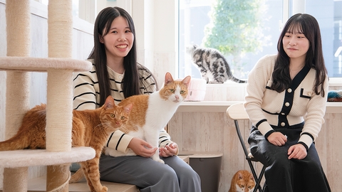 専門学校 東北動物看護学院 猫専用「猫ルーム」完成!本学生は出入り自由!