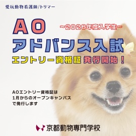 京都動物専門学校 2026年度入学生 AOエントリー資格証配布中!
