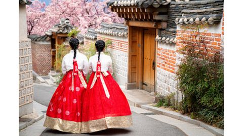 梅花女子大学 国際教養学科(名称変更予定)※2026年4月誕生!