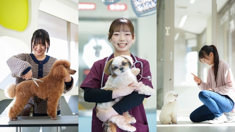 高崎動物専門学校 ペット業界やお客様の要望に応える資格取得