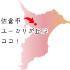 駅近×便利×バイト×遊びも充実！ユーカリが丘で学生生活を満喫（ユーカリが丘国際福祉専門学校）