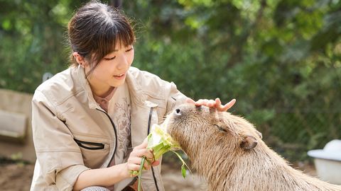 北海道エコ・動物自然専門学校 