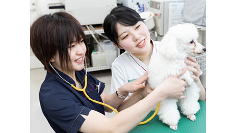愛犬美容看護専門学校 