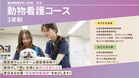 専門学校日本動物21 責任ある仕事“愛玩動物看護師”をめざします！