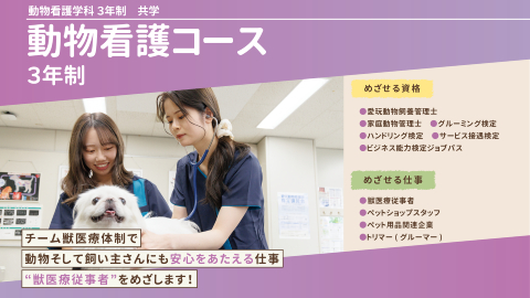 横浜動物専門学校 高度化・多様化する獣医療において活躍できる人材を育成します！