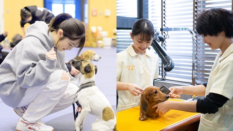神戸動植物環境専門学校 Kapで犬のプロを目指す。