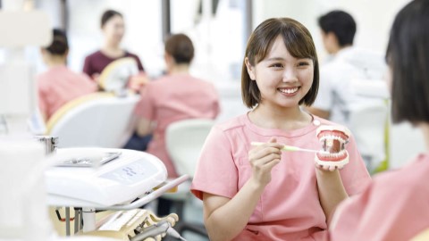 日本医歯薬専門学校