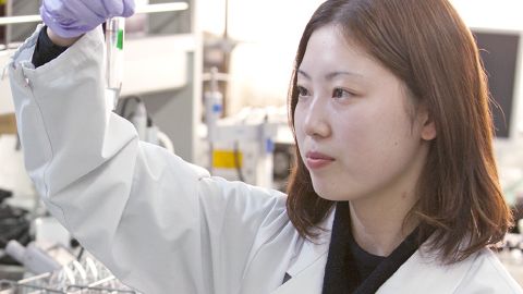日本薬科大学 医療や健康産業の現場で活躍する薬学のスペシャリストになる