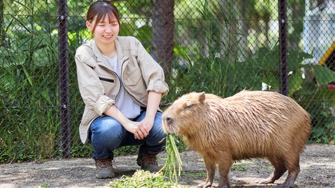 北海道エコ・動物自然専門学校