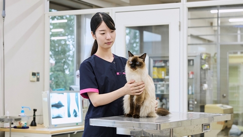 北海道エコ・動物自然専門学校 国家資格化に対応した3年制の動物看護師学科!