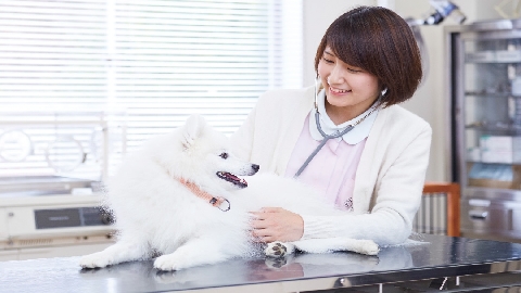 岡山理科大学専門学校